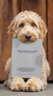 From Practice to Profit